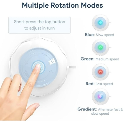 Mr. Odin - Cat Motion - Image 5