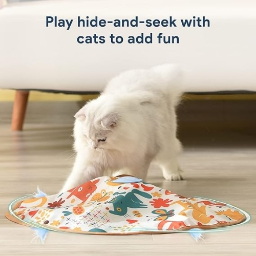 Mr. Odin - Cat Motion - Image 4