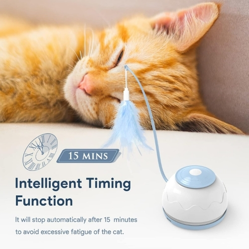 Mr. Odin - Cat Motion - Image 3