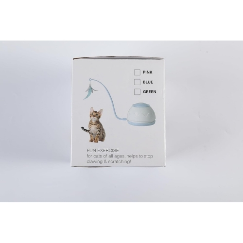 Mr. Odin - Cat Motion - Image 2