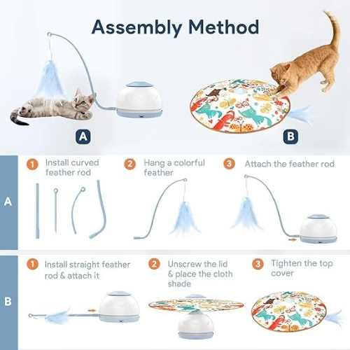 Mr. Odin - Cat Motion - Image 8