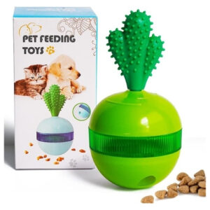 Mr. Odin - Kong Kactus