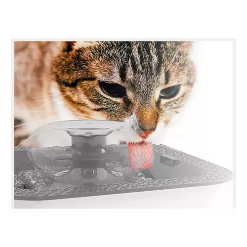 Mr. Odin - Fuente Huella - Image 2