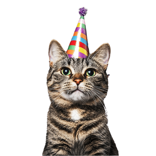 Mr. Odin - Gorros Cumpleaños Gatitos - Image 2