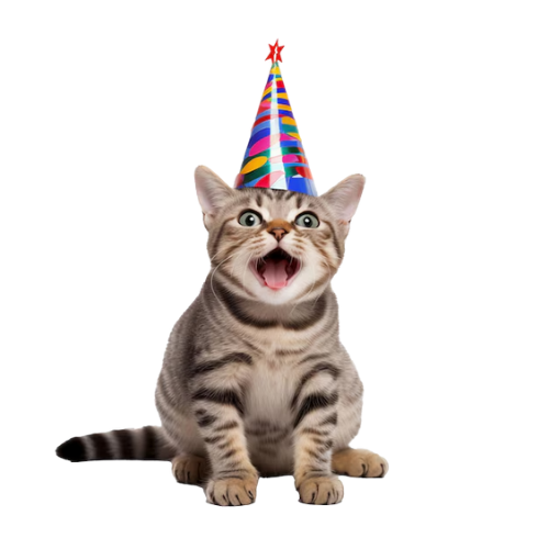 Mr. Odin - Gorros Cumpleaños Gatitos