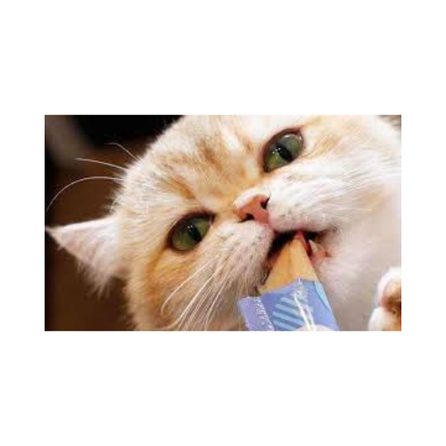 Mr. Odin - Churu Cat Sobres - Image 2