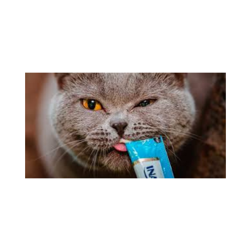 Mr. Odin - Churu Cat Sobres - Image 4