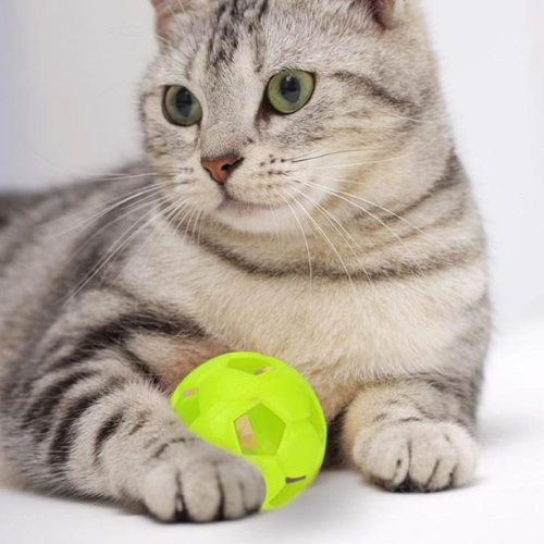 Mr. Odin - Pelotas Con Campana X 4 Unidades - Image 8