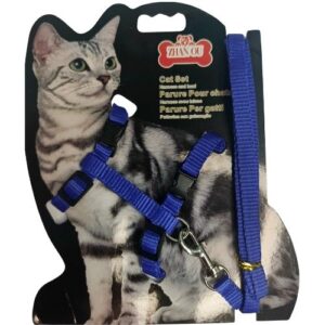 Mr. Odin - Arnes Gato Eco