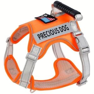 Mr. Odin - Arnés Pequeño XS