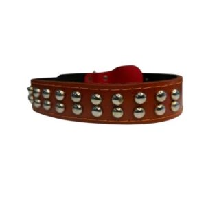 Mr. Odin - Collar Y Correa En Cuero L