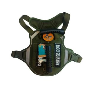 Mr. Odin - Pechera Militar