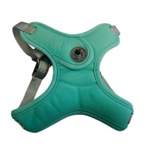 Mr. Odin - Pechera Wan Jia