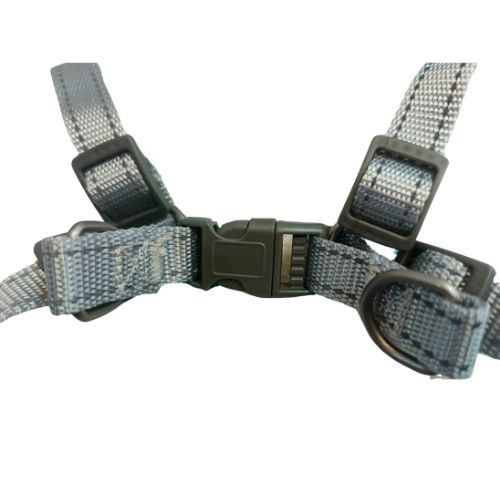 Mr. Odin - Pechera Wan Jia - Image 3